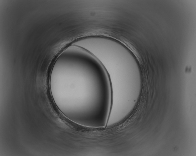 X0000090410485200707130928