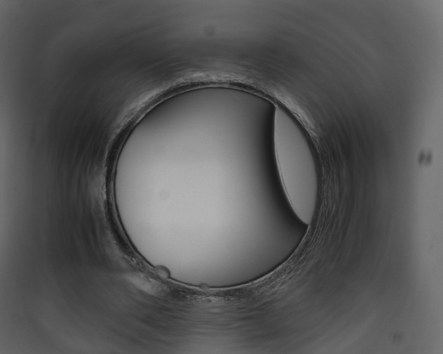 X0000090410486200707130928