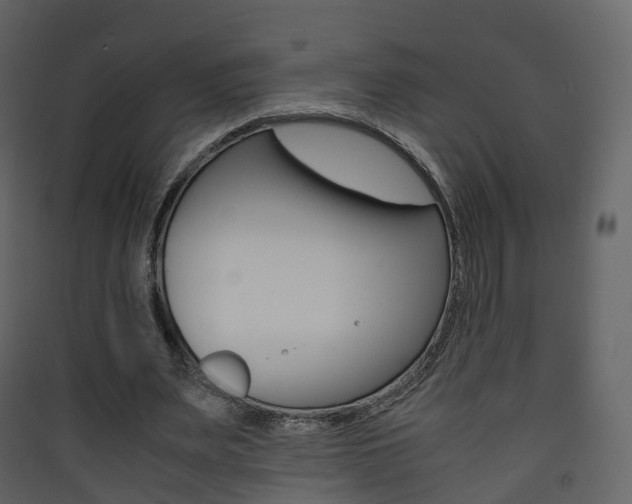 X0000090410487200707130928