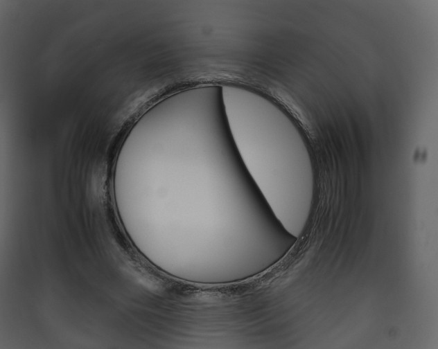 X0000090410490200707130928