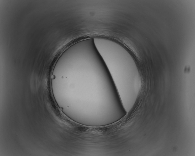 X0000090410491200707130928