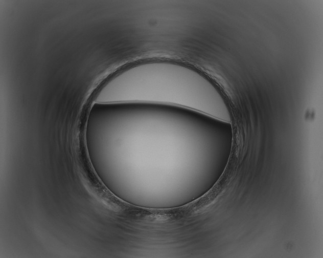 X0000090410492200707130928