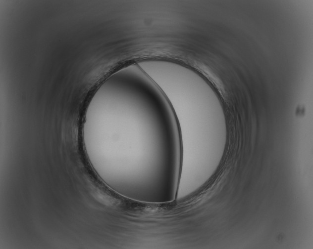 X0000090410493200707130928