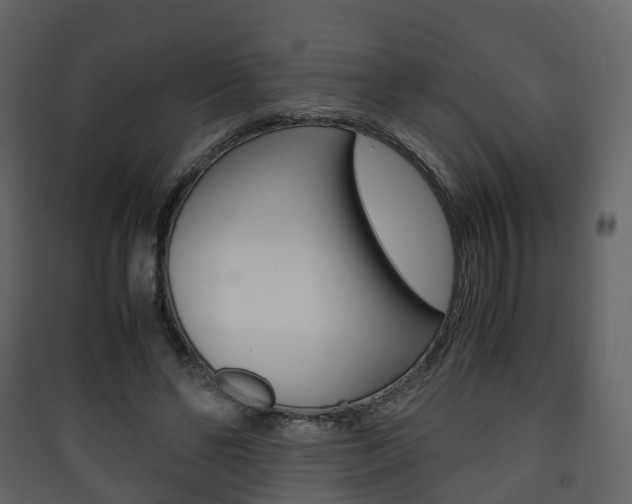 X0000090410494200707130928