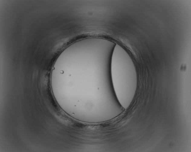 X0000090410495200707130928