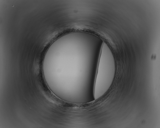X0000090410496200707130928
