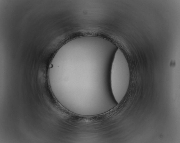 X0000090410498200707130928