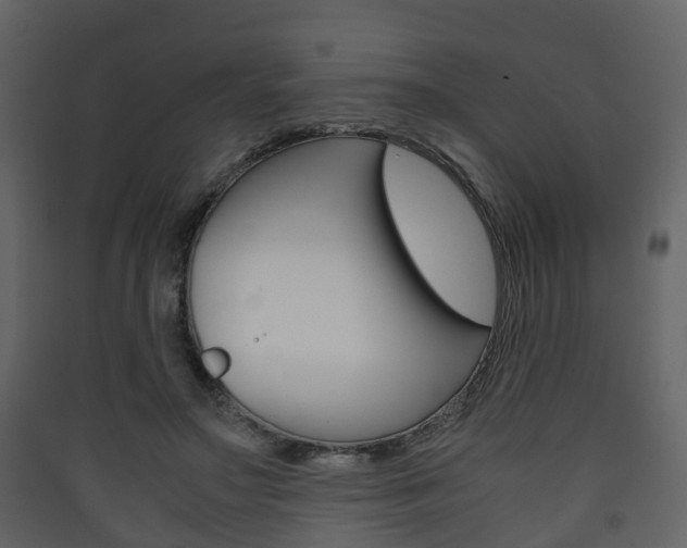 X0000090410499200707130928
