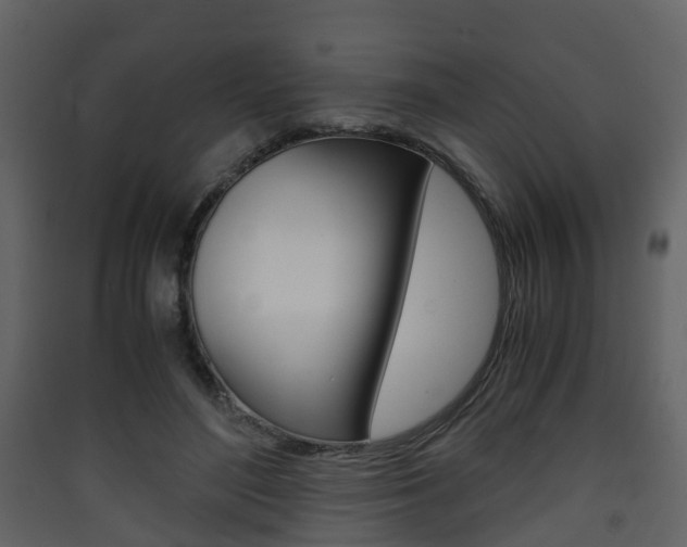 X0000090410500200707130928