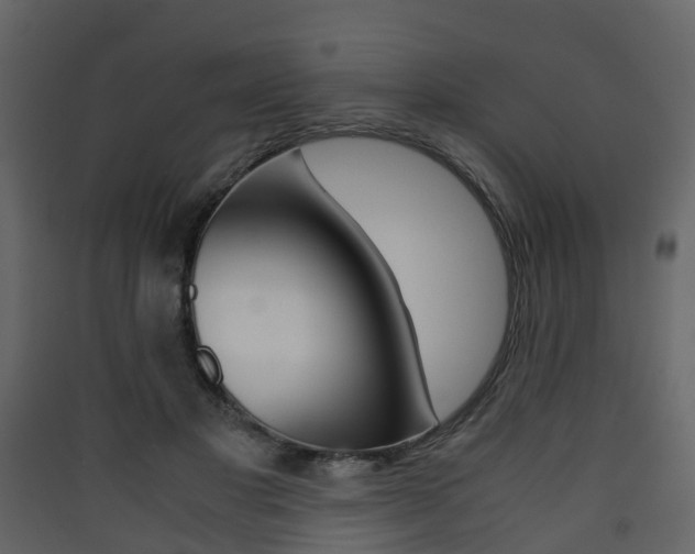 X0000090410501200707130928
