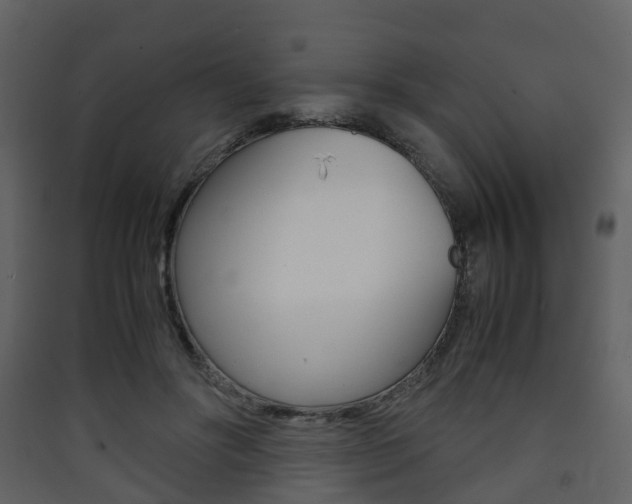 X0000090410502200707130928