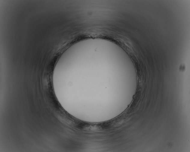 X0000090410503200707130928