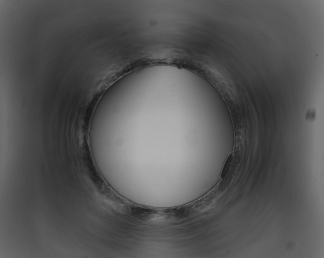 X0000090410504200707130928