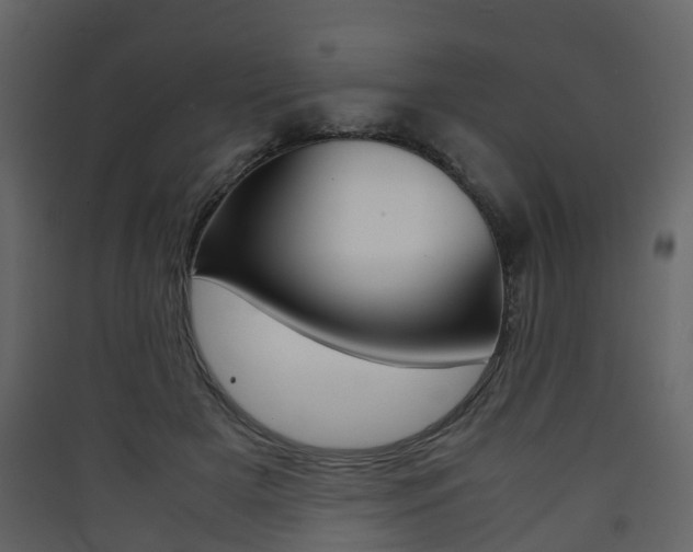 X0000090410505200707130928