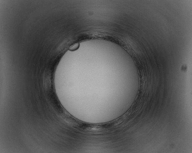 X0000090410506200707130928