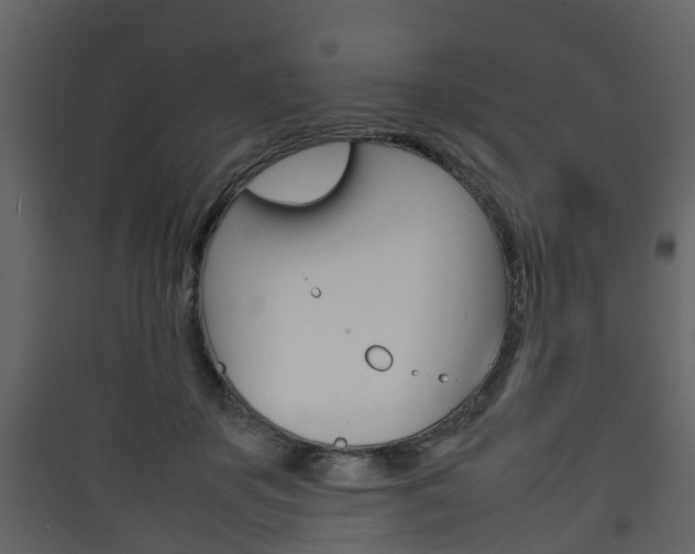 X0000090410507200707130928