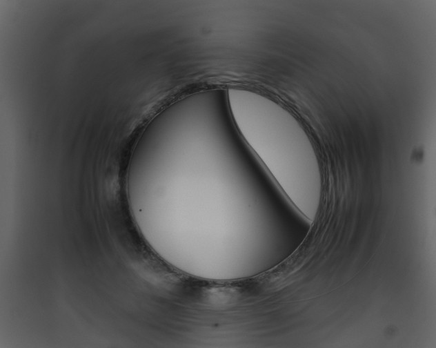 X0000090410508200707130928