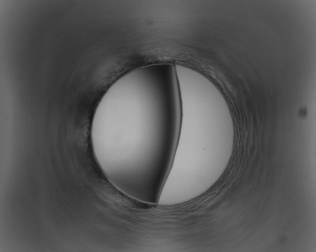 X0000090410509200707130928