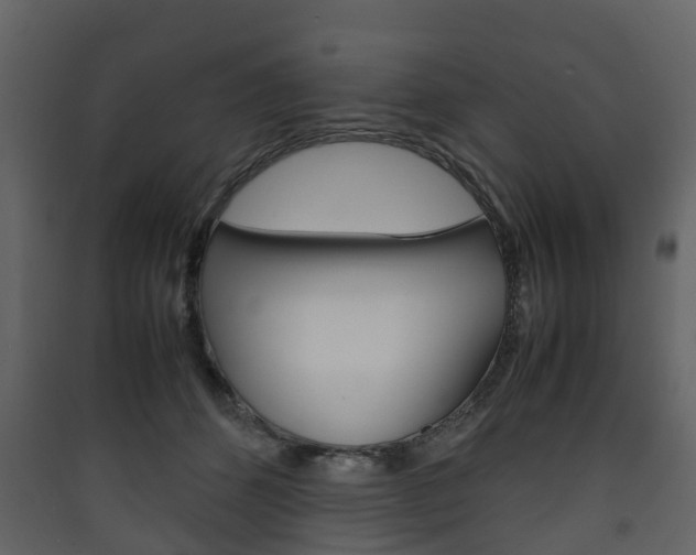 X0000090410512200707130928
