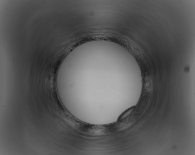 X0000090410514200707130928