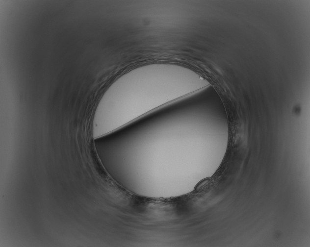 X0000090410515200707130928