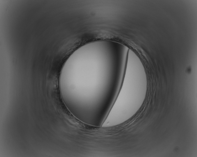 X0000090410517200707130928