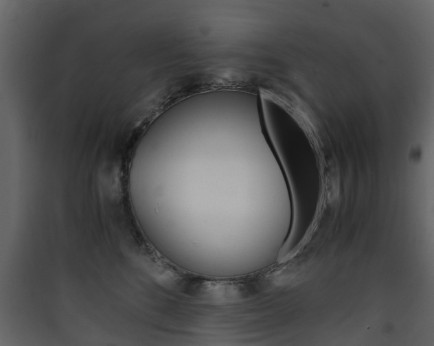 X0000090410520200707130928