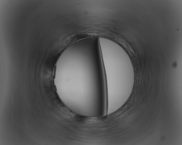 X0000090410521200707130928
