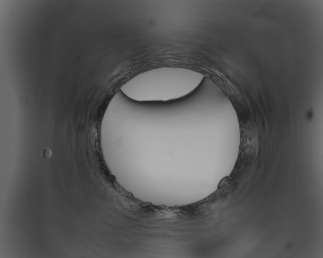 X0000090410523200707130928