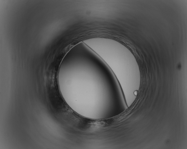 X0000090410525200707130928