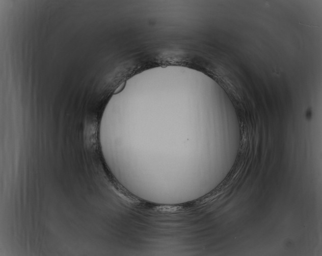 X0000090410526200707130928