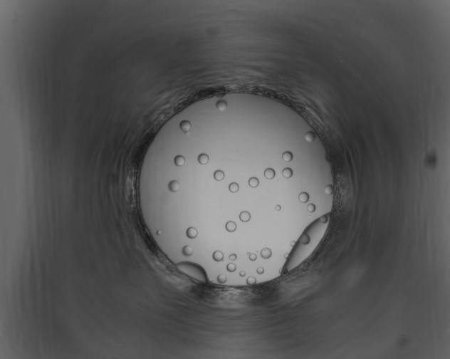 X0000090410527200707130928