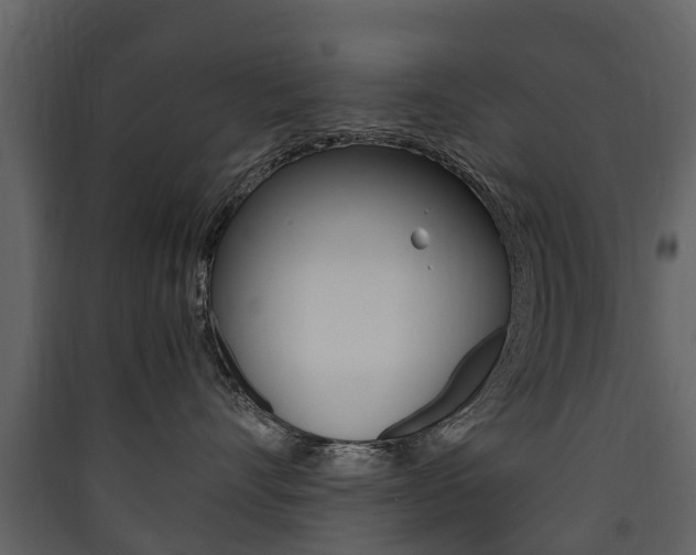 X0000090410528200707130928