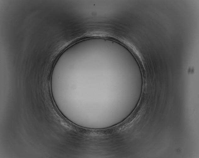 X0000090410529200707130927