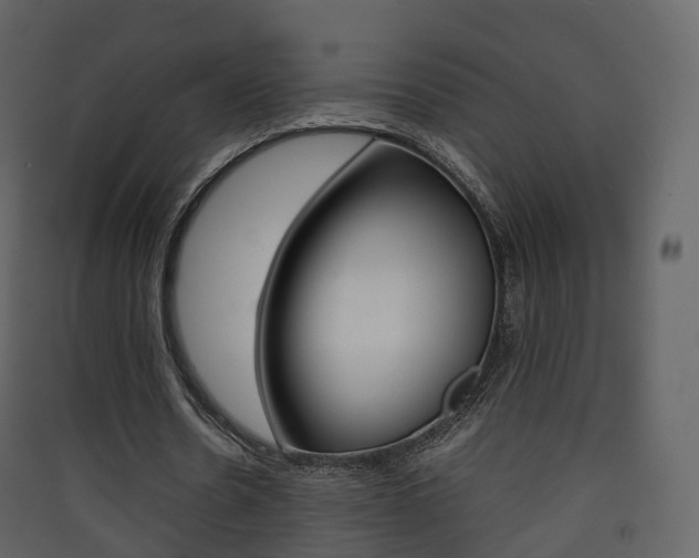 X0000090410530200707130927