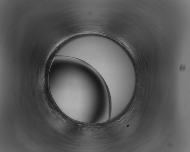 X0000090410532200707130927