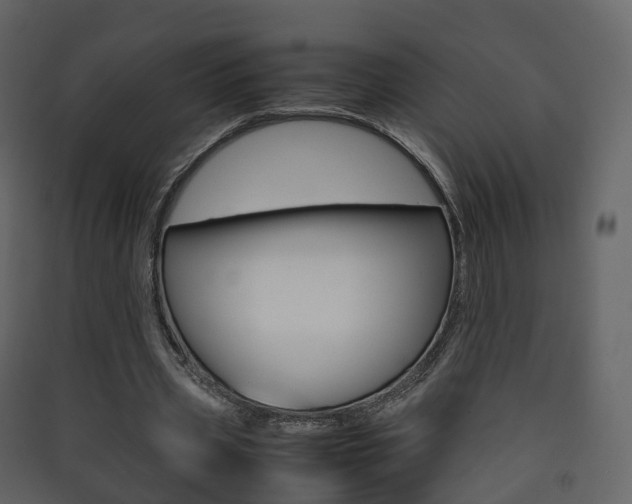 X0000090410533200707130927