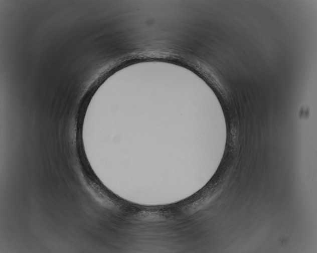 X0000090410534200707130927