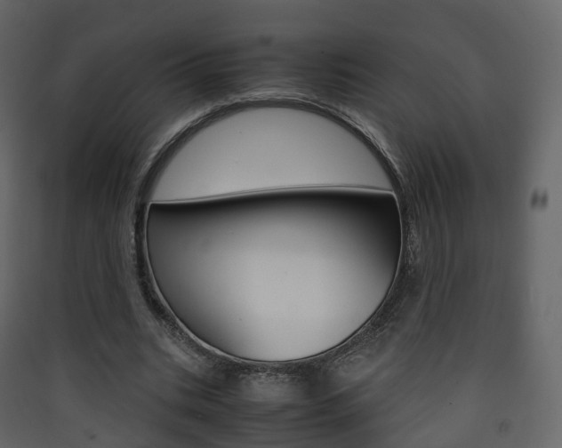 X0000090410535200707130927