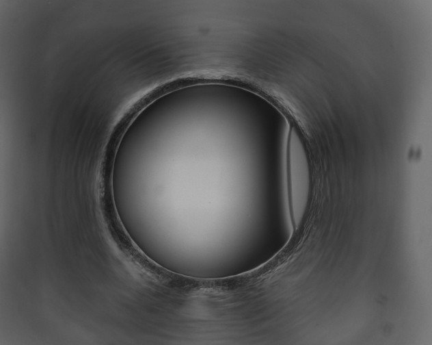X0000090410536200707130927