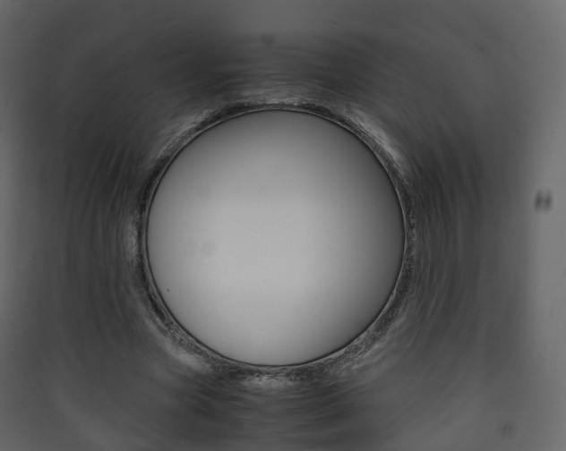 X0000090410537200707130927