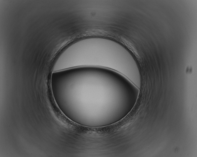 X0000090410538200707130927