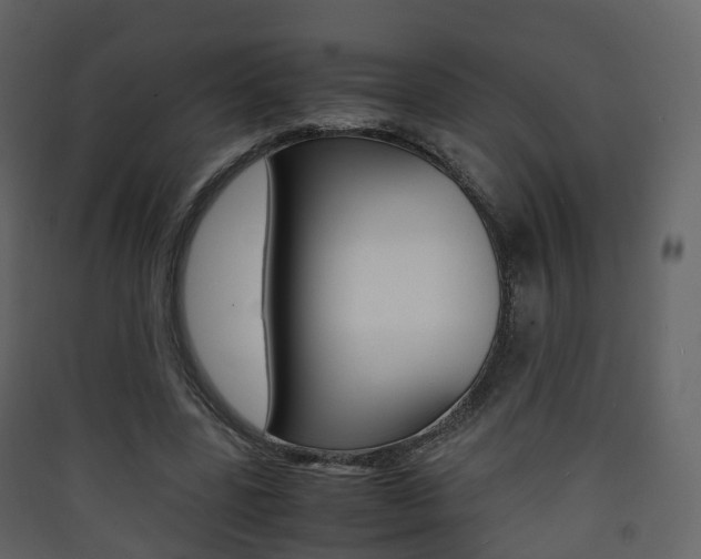 X0000090410539200707130927