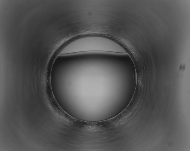 X0000090410540200707130927