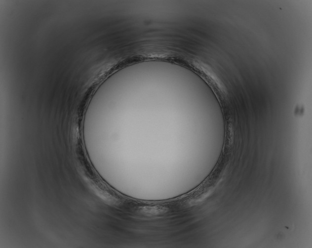 X0000090410541200707130927