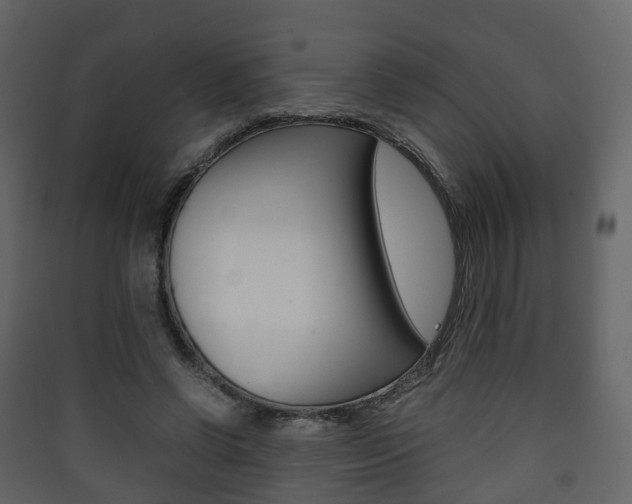 X0000090410542200707130927