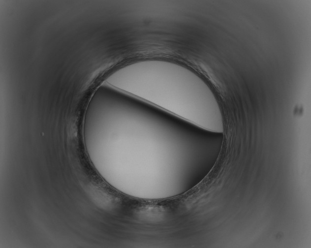 X0000090410543200707130927