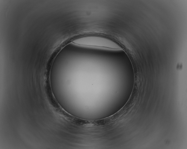 X0000090410544200707130927