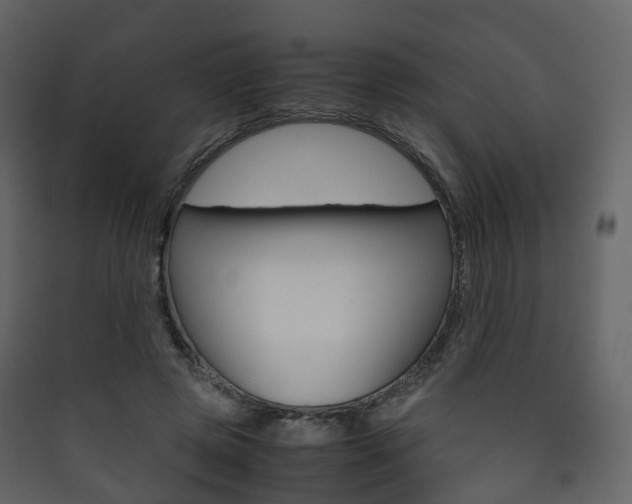 X0000090410545200707130927