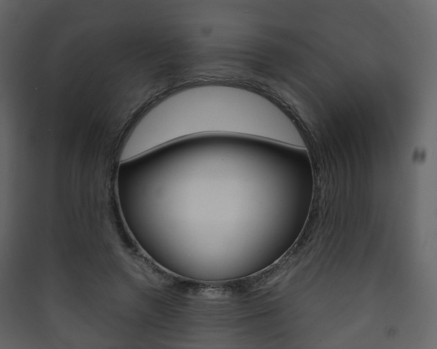X0000090410546200707130927